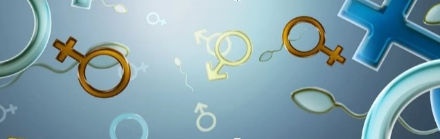 Венерология