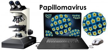 Удаление папиллом азотом